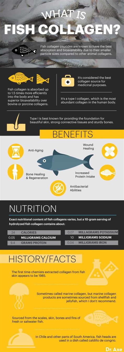 Fish Collagen vs. Other Collagen Plus Uses, Benefits and  .